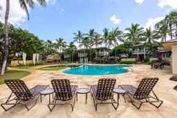 Coconut Plantation 1080-4 - Image 2