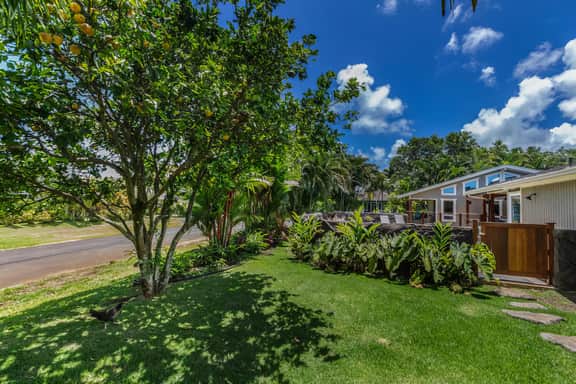 Lani Oasis
