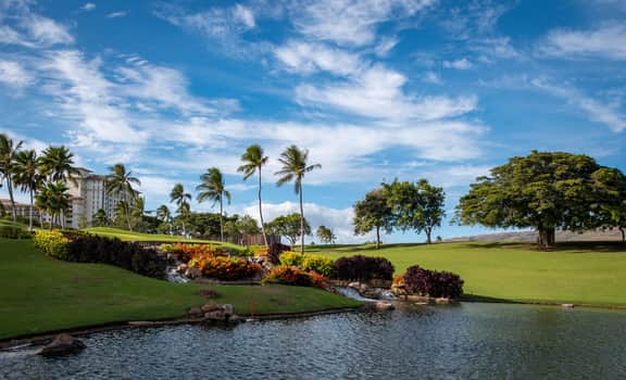 Ko Olina Beach Villas B901