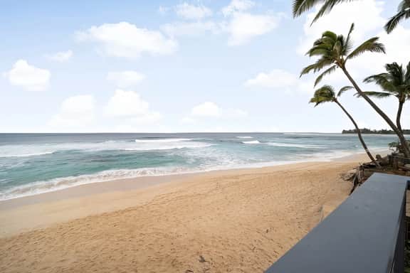 Surfer's Paradise